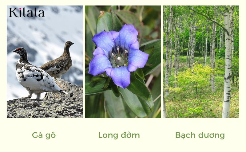 biểu tượng tỉnh nagano bieu-tuong-tinh-nagano